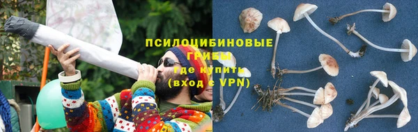 молекула духа Дубовка