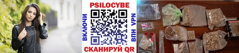 Псилоцибиновые грибы ЛСД  как найти закладки  Торопец 